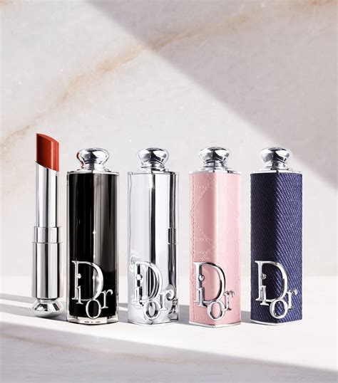 dior holiday lipstick case